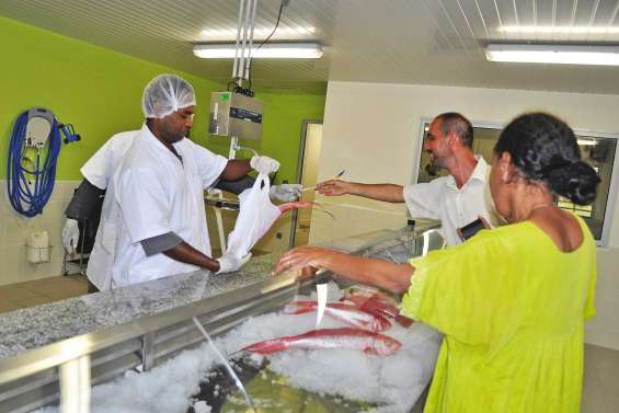 La poissonnerie de Nengone ouvre enfin ses portes