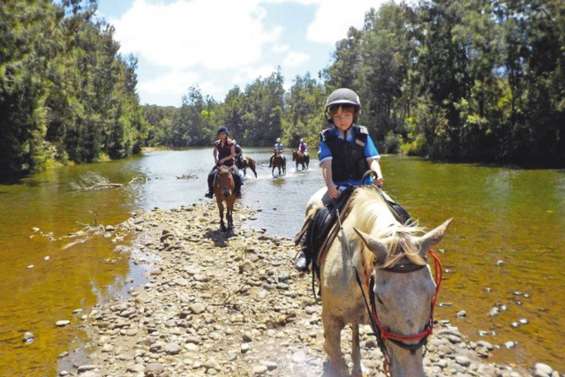 Le Lucky Club labellisé Tourisme équestre