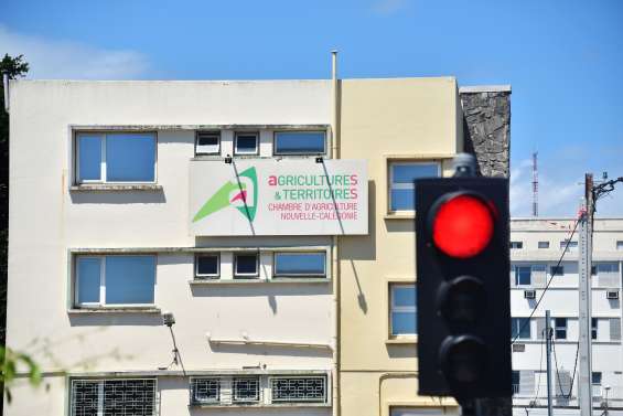 La gestion de la Chambre d’agriculture en question