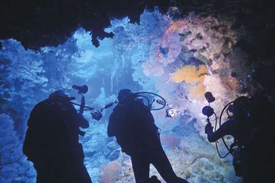 Les sites récifaux  de Poindimié filmés à 360°