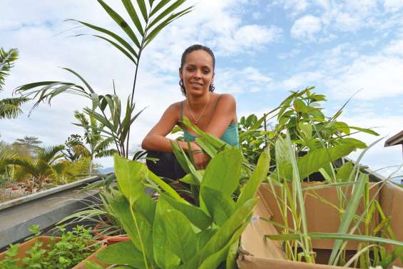 Le goût de Laura pour les vertus des plantes