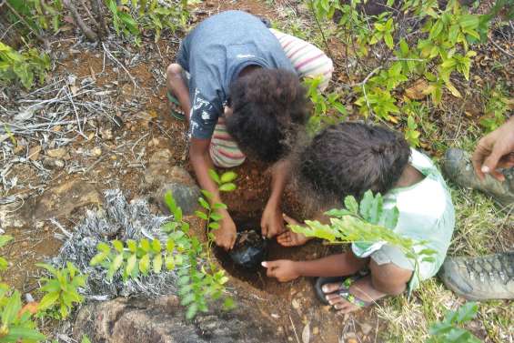 Touho en résistance contre l’érosion
