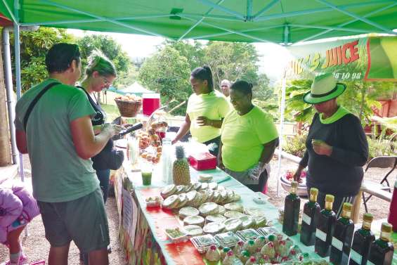 Le parc des Grandes Fougères  a dévoilé ses secrets