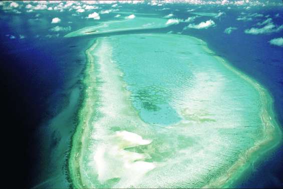La Grande Barrière menacée par la pollution