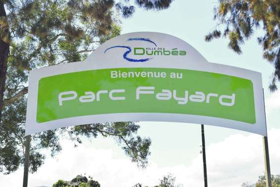 Un salon naturel et en plein air