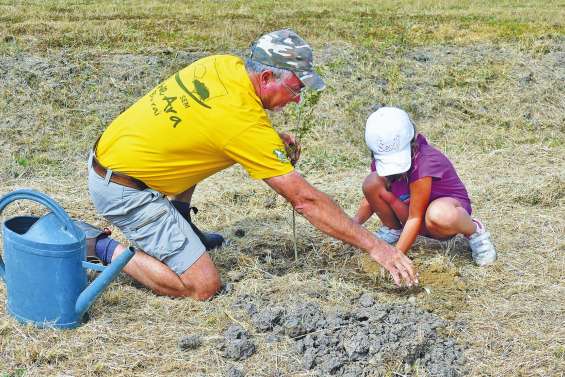 Cent arbres de forêt sèche mis en terre