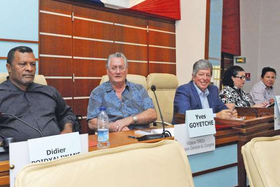 L’emploi simplifié inquiète le Cese