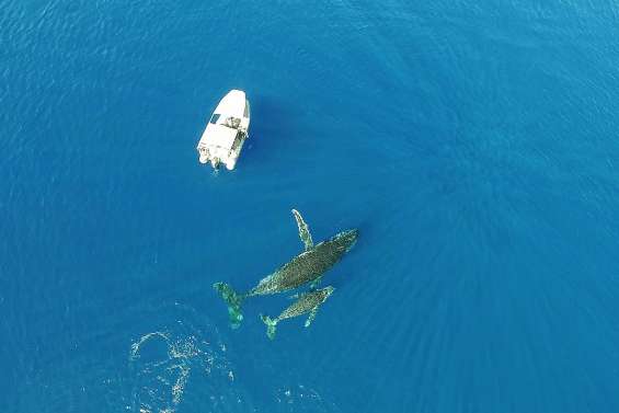 Une rencontre insolite pour un mois d’octobre