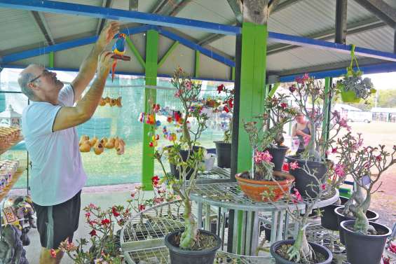 Les exposants fin prêts à recevoir  le public au parc Fayard