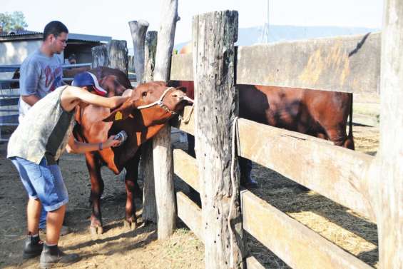L’enseignement agricole  affiche sa différence