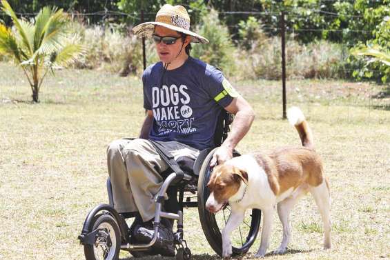 Le championnat qui a du chien