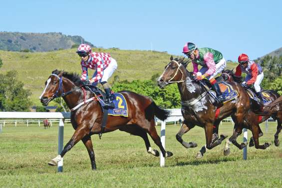 Coupe Clarke, Ivor Hill et poulains, retour sur la saison hippique 2016