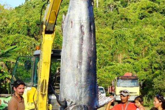 La belle prise de Georges et de Steeve