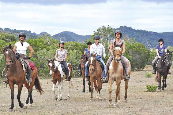 Les structures de tourisme équestre passées au peigne fin