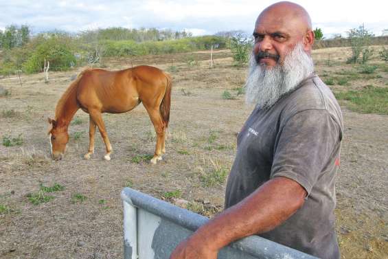 Quinze ans de jeux équestres fêtés au ranch du Pont-Blanc