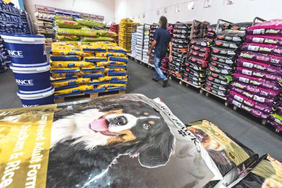 Croquettes : pourquoi ils  en font tout un plat