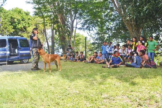 Une Journée citoyenneté au collège Raymond-Vauthier