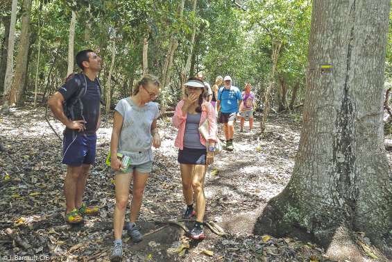 A la découverte de la forêt sèche de Déva