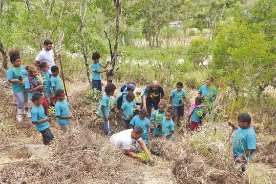 Cent arbres en devenir à Saint-Pierre