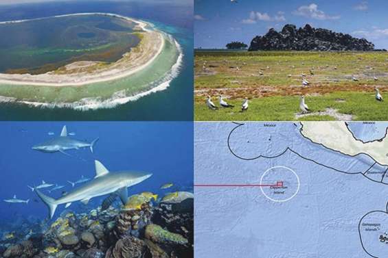 Une aire marine  protégée à Clipperton