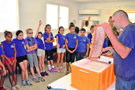 Des écoliers piqués de curiosité