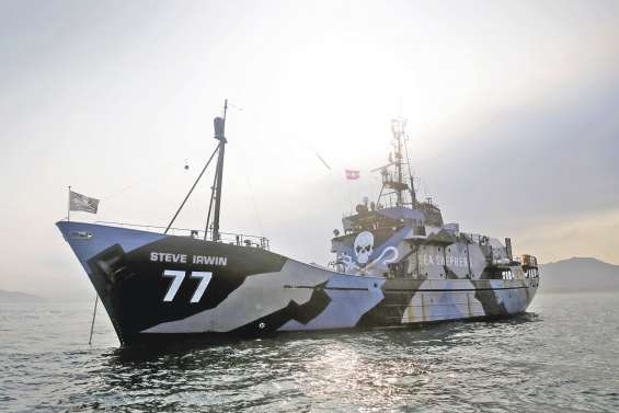 Sea Shepherd défie les baleiniers japonais