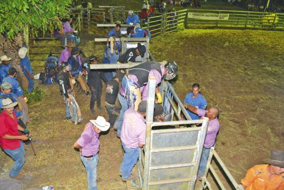 Le rodéo de Téné fait sensation