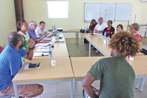 Les entrepreneurs  nengone accompagnés