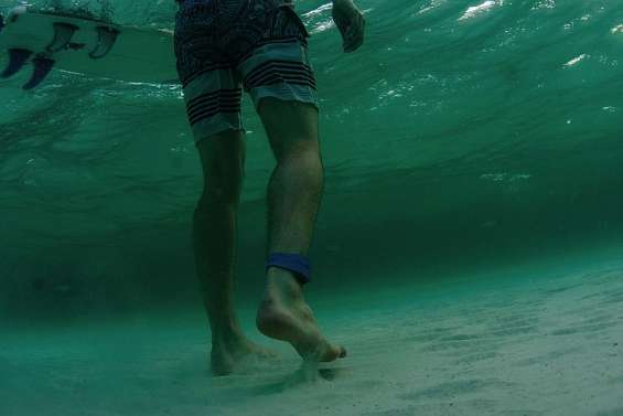 Bracelet anti-requin : efficacité ou effet de mode ?