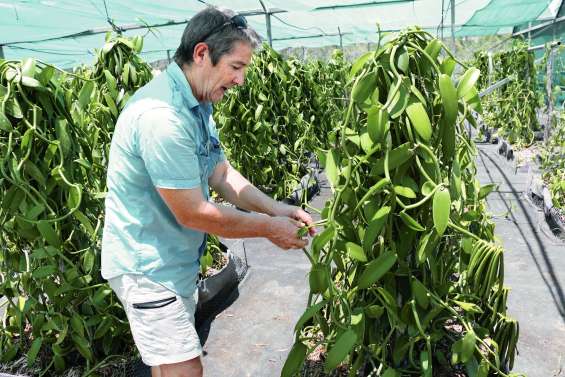 La passion vanille de Patrick Loiseau
