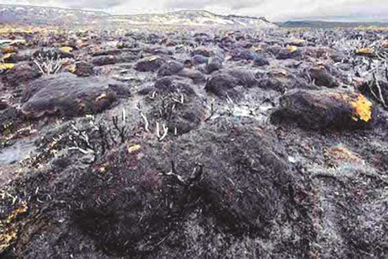 Climat : 2016, une année dévastatrice