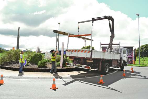 Ça sent le sapin pour les décorations de Noël