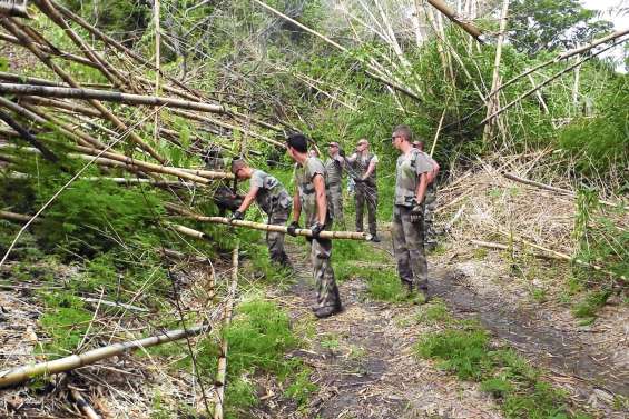 Coupe de bambous et coup  de chasse à Téganpaïk