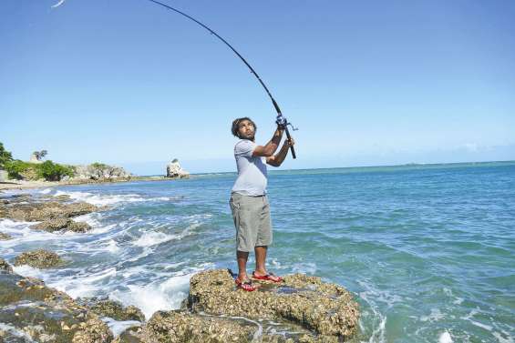 Crabes et picots de nouveau autorisés sur les étals
