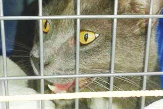 Keishi reviendra-t-il un jour ?