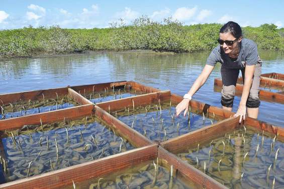 Un prix environnemental pour la ville