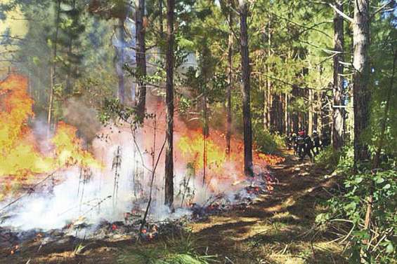 Incendie à l’île des Pins, un an de prison avec sursis