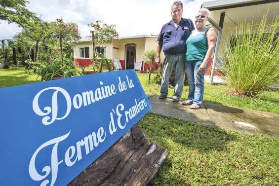 Les fermes ouvrent grand leurs portes au tourisme rural