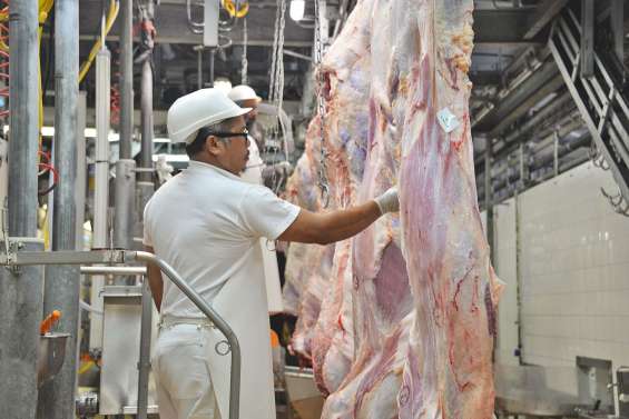 Dans les coulisses de l’Ocef, le lien des éleveurs aux bouchers