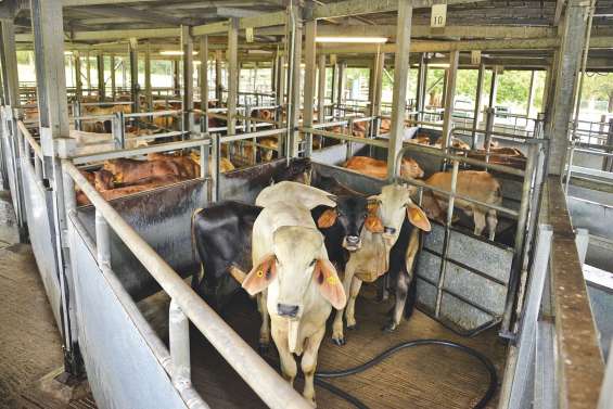 Du champ aux chambres froides