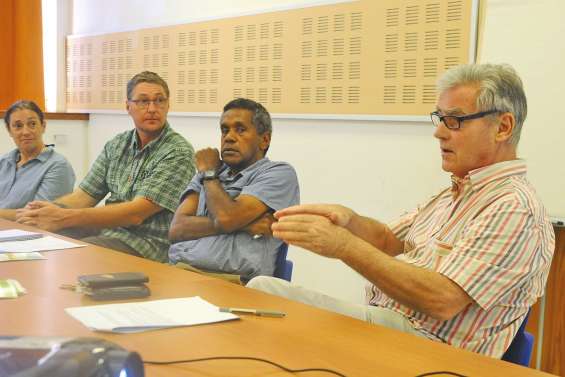 Les plantes révèlent leur pouvoir