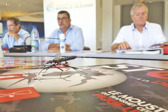 Opération coup-de-poing pour  freiner l’épidémie de dengue