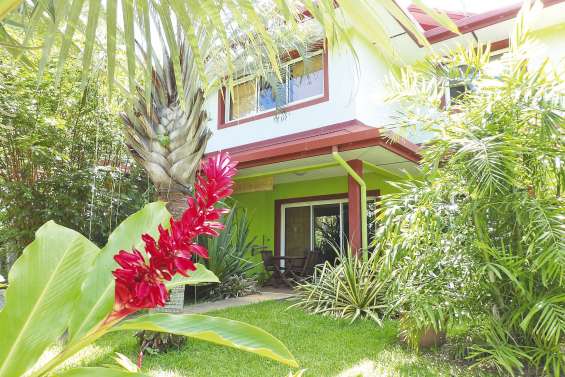 Moment de détente dans  la végétation de Robinson