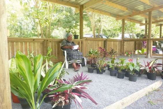 Un marché fleuri à Sarraméa