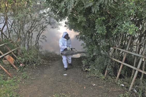 L’épidémie de dengue fait une troisième victime 