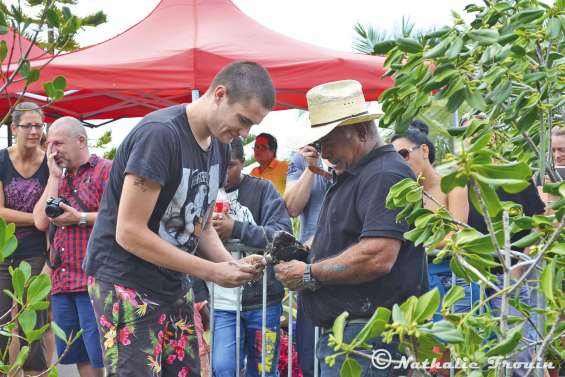 Une chasse aux crabes ouverte à tous