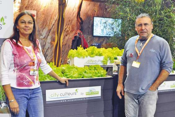 Le hors-sol du Caillou séduit à Paris