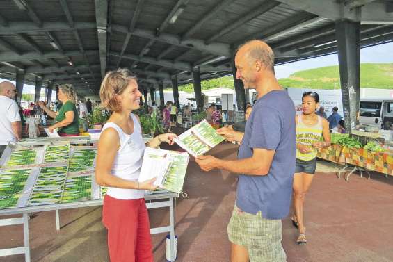 Un calendrier des fruits et légumes calédoniens