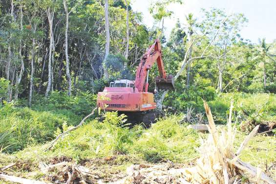 Le projet de refuge  animalier au point mort