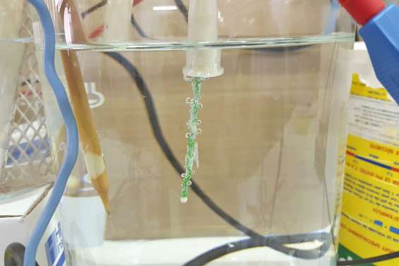 Du calcaire pour piéger le nickel dans l’eau de mer